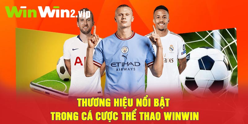 Thương hiệu nổi bật trong cá cược thể thao Winwin