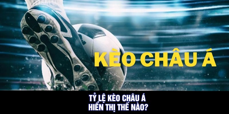 Tỷ lệ kèo châu Á hiển thị thế nào?